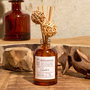 Home Deco Factory Difusor de Ambiente con Varillas 50 ml Aromas Cocooning - Ámbar, Sándalo o Algodón