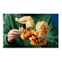 LEGO Arcanine 72160