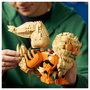 LEGO Arcanine 72160 Pokémon™