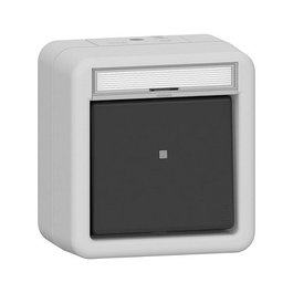 GIRA 315630 Interruptor Oscilante 1P Gris IP44 250V 10A