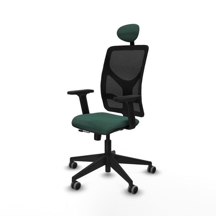 PIQUERAS Y CRESPO Silla de oficina Motilla con mecanismo Sincro/Traslack Verde botella PIQUERAS Y CRESPO Silla de oficina Motilla con mecanismo Sincro/Traslack Verde botella