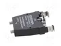 SCHMERSAL Elemento de resorte EF 22mm IP20