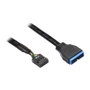 GoodConnections Alcasa 5021-PST1 Adaptador Interno USB Cabecera 9 Pines, Macho Hembra, Cable 0.15 m