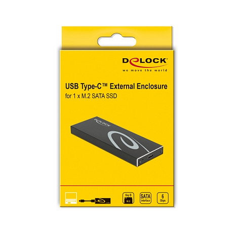 DeLOCK 42003 Carcasa externa para M.2 SATA SSD con USB Tipo C