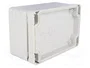 BOPLA EUROMAS II Gris IP65