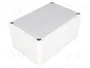 BOPLA EUROMAS II Gris IP65