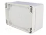BOPLA EUROMAS II Gris IP65