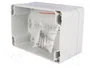 BOPLA EUROMAS II Gris IP65
