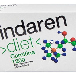 ARTESANIA AGRICOLA Lindaren Diet Carnitina 1200 20 viales