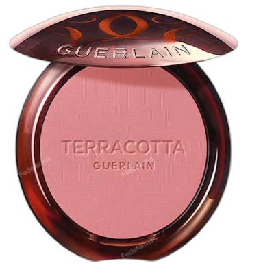 Guerlain Terracotta Blush 01