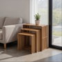 Ixia Set de 3 Mesas Auxiliares de Madera de Teca Natural Bellamonte