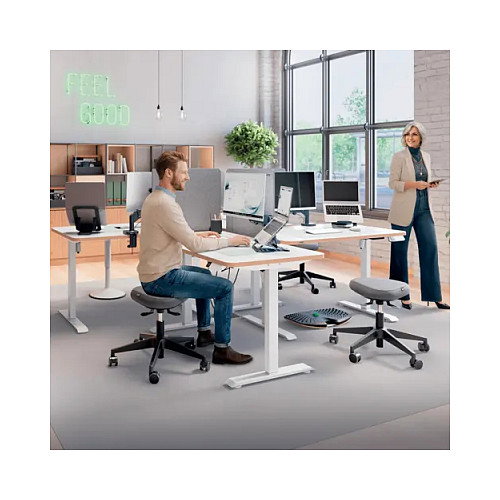 LEITZ Divisoria de mesa ajustable 80x70cm, gris LEITZ Divisoria de mesa ajustable 80x70cm, gris