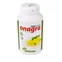 Pinisan Aceite de Onagra y Vitamina E 220 perlas