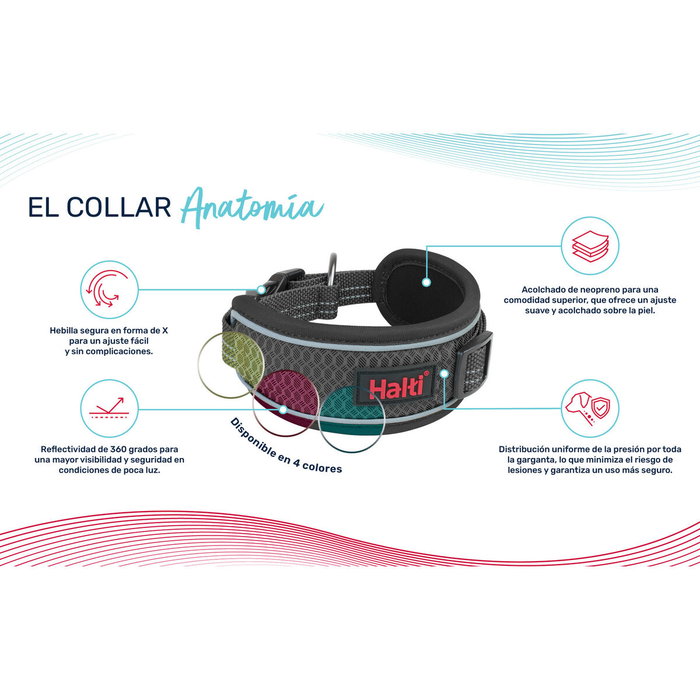 Collar para Perro Company of Animals Verde