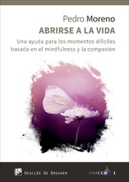 Abrirse a la vida, Pedro Jose Moreno Gil - Desclee de Brouwer
