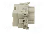 LAPP Conector Industrial HDC EPIC® H-K 006.1/12 FAS 2.5-8