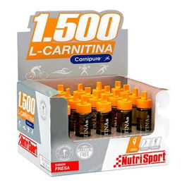 NUTRISPORT L Carnitina 1500 Fresa 20 Ampollas para Aumentar Rendimiento y Definición Muscular