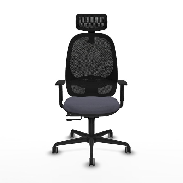 PIQUERAS Y CRESPO Silla de oficina Cilanco con mecanismo Sincro/Traslack, Gris oscuro y Negro PIQUERAS Y CRESPO Silla de oficina Cilanco con mecanismo Sincro/Traslack, Gris oscuro y Negro