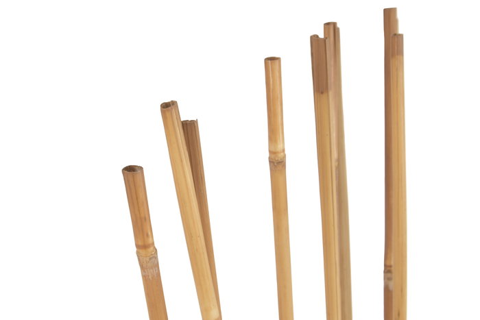 DKD Home Decor Set de 10 Ramas de Bambú Natural 7x7x150 cm DKD Home Decor Set de 10 Ramas de Bambú Natural 7x7x150 cm