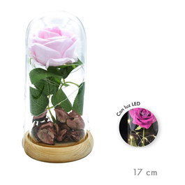 Caison Rosa eterna artificial LED cúpula cristal 17 cm + base madera rosa