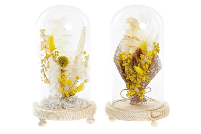 DKD Home Decor Decoración Flor Seca Cristal 12x12x21 (Surtido de 2) DKD Home Decor Decoración Flor Seca Cristal 12x12x21 (Surtido de 2)