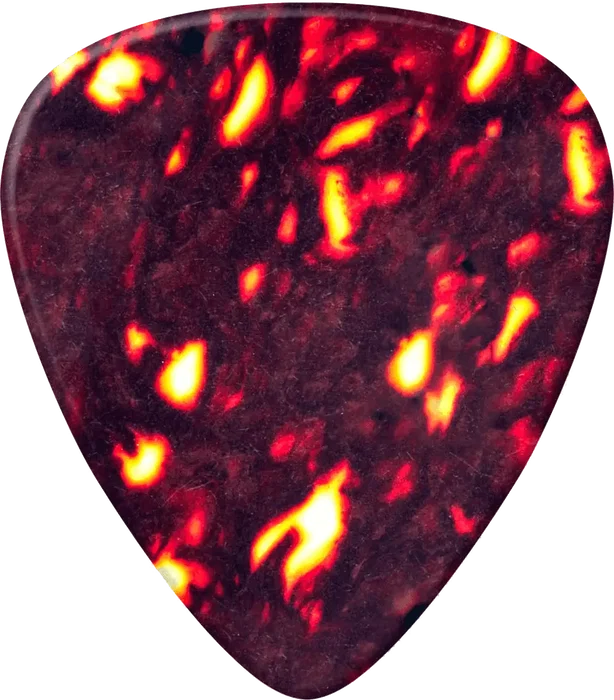 DUNLOP Player'S Pack De 12, Thin DUNLOP Player'S Pack De 12, Thin