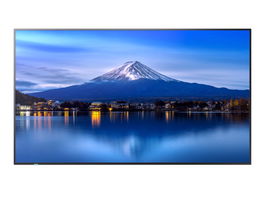 Sharp PN-P556 55" P-Series Large Format Display UHD 700cd/m2 60005916