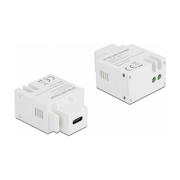 DeLOCK Módulo Keystone USB Type-C™ 2,1 A Blanco