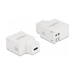 DeLOCK Módulo Keystone USB Type-C™ 2,1 A Blanco