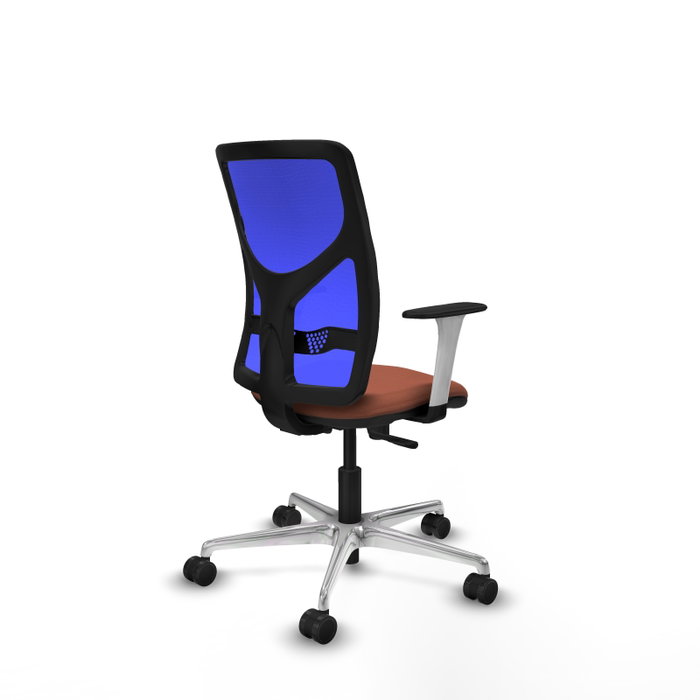 PIQUERAS Y CRESPO Silla de oficina Motilla con mecanismo Sincro, Azul y Marrón PIQUERAS Y CRESPO Silla de oficina Motilla con mecanismo Sincro, Azul y Marrón