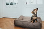 Hunter Cama Acolchada Lancaster 100x70 cm Marrón para Perros