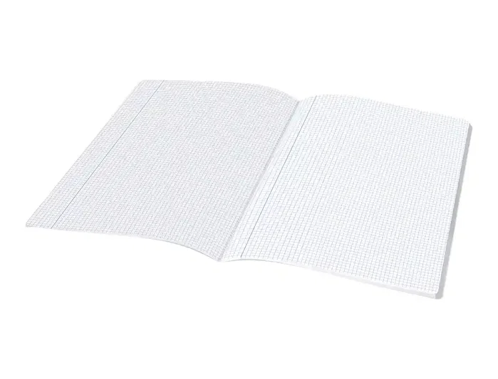 Liderpapel Scriptus Libreta A4 48 hojas 90g cuadro 4mm con margen