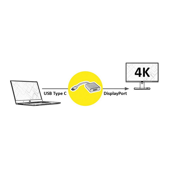 ROLINE Adaptador de vídeo USB Tipo C a DisplayPort v1.2, 12.03.3220, Plata