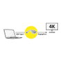 ROLINE Adaptador de vídeo USB Tipo C a DisplayPort v1.2, 12.03.3220, Plata