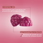 Cumlaude Lab FEMGUMMY ANTIOX Sabor Frutas del Bosque