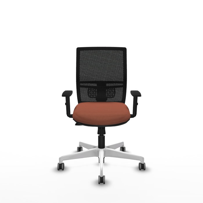 PIQUERAS Y CRESPO Silla de oficina Yunquera con mecanismo Sincro/Traslack, Marrón y Negro PIQUERAS Y CRESPO Silla de oficina Yunquera con mecanismo Sincro/Traslack, Marrón y Negro