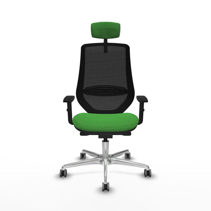PIQUERAS Y CRESPO Silla de oficina Mardos con mecanismo Sincro/Traslack Verde y Negro PIQUERAS Y CRESPO Silla de oficina Mardos con mecanismo Sincro/Traslack Verde y Negro