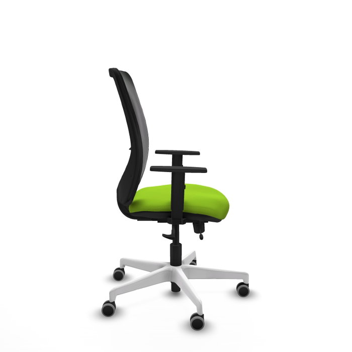 PIQUERAS Y CRESPO Silla de oficina Zulema, Pistacho y Negro