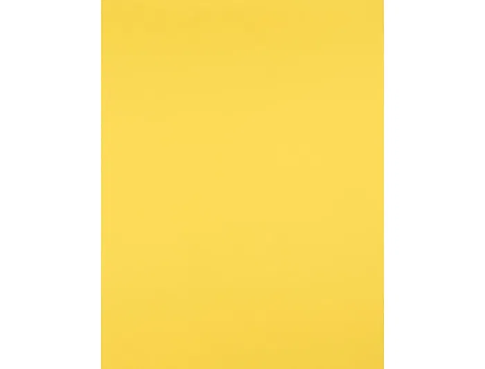 Liderpapel Cartulina Amarillo Limón 50x65 cm 180g/m2 para Dibujo y Manualidades