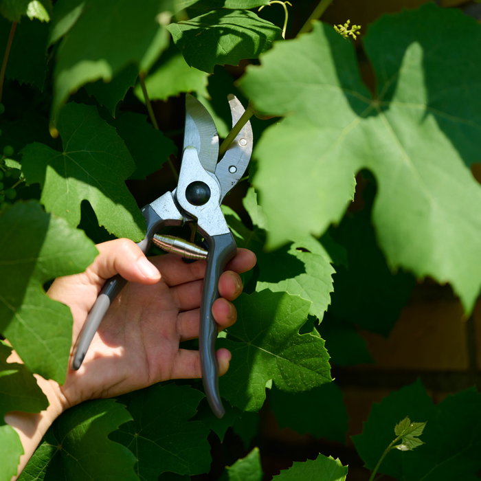 Grouw Juego De 2 Tijeras Podar Jardín Cortan Ramas Hasta 3 Cm