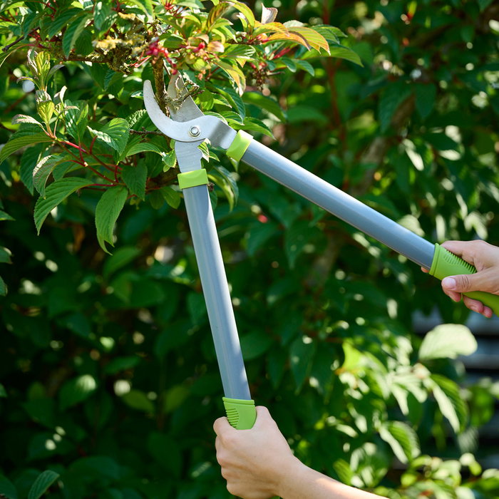 Grouw Juego De 2 Tijeras Podar Jardín Cortan Ramas Hasta 3 Cm