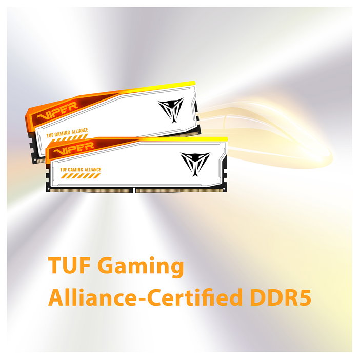 Patriot PVER548G60C36KT 48GB (2x24GB) DDR5 6000MHz CL36 Memoria RAM RGB Viper Gaming con XMP 3.0 y AMD EXPO