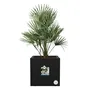 Elho ELH8711904499266 Jardinera Vivo Next Square 30 Negro Ø 30 x H 29 cm Interior/Exterior 100% Reciclado