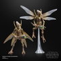 Hasbro Star Wars The Black Series Geonosian Warrior 15 cm