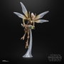 Hasbro Star Wars The Black Series Geonosian Warrior 15 cm
