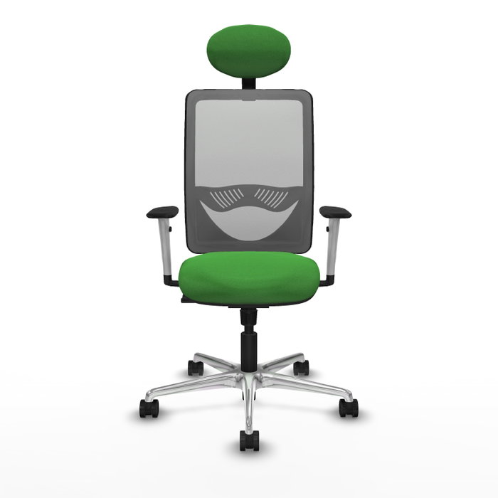 PIQUERAS Y CRESPO Silla de oficina Zulema con mecanismo Sincro, Verde y Gris PIQUERAS Y CRESPO Silla de oficina Zulema con mecanismo Sincro, Verde y Gris
