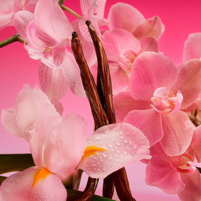 Calvin Klein Euphoria Magnetic Elixir Eau de Parfum Vaporizador 100 ml para Mujer