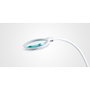 Perfect Beauty Lámpara OWL CLIP LED