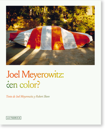 Joel Meyerowitz: ¿en color? - Joel Meyerowitz