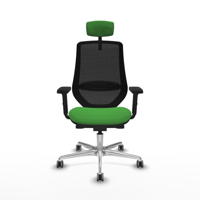 PIQUERAS Y CRESPO Silla de oficina Mardos con mecanismo Sincro/Traslack, Verde y Negro PIQUERAS Y CRESPO Silla de oficina Mardos con mecanismo Sincro/Traslack, Verde y Negro